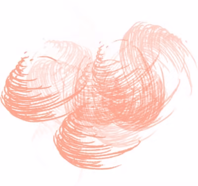 shape